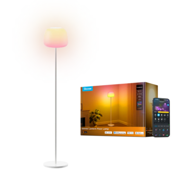 Govee Lantern Floor Lamp