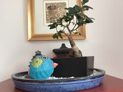 Aufnahme Frontkamera