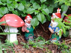 Xiaomi Mi 9 SE - 2x-Zoom