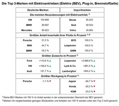 Die Top 3-Marken mit Elektroantrieben (Elektro (BEV), Plug-in, Brennstoffzelle) (Quelle/Grafik: KBA).