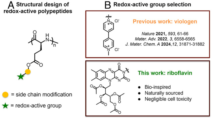 Essbare Batterien aus Texas: Forscher der Texas A&M University entwickeln biologisch abbaubaren Energiespeicher (Bildquelle: PNAS)