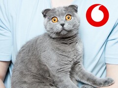 Einen Internet-, Telefon- und Fernsehvertrag wollte der Kater der Frau mit Sicherheit nicht abschließen (Bild: Andrew Umansky, Vodafone, bearbeitet)