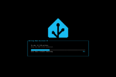 Home Assistant USB Installer Screenshot
