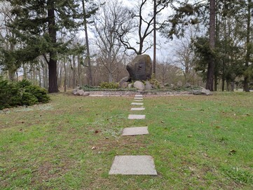 realme 8 Pro | Foto-Modus