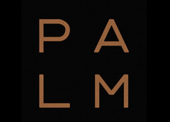 TCL plant offenbar tatsächlich einen Palm-Neustart, wie ein neues Logo nahe legt.