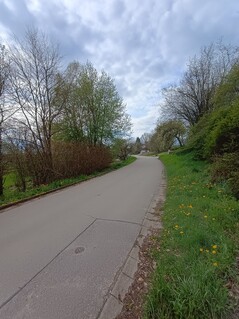 Aufnahme mit der Hauptkamera