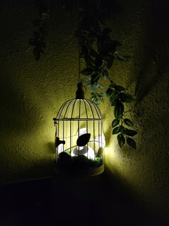 Xiaomi M Mix 3 - Photo-Modus