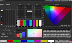 CalMAN Farbraum sRGB