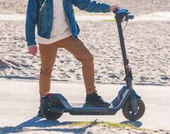 Expert verkauft den reichweitenstarken Ninebot P65D E-Scooter zum bisher günstigsten Preis (Bild: Segway)
