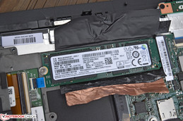 Interne NVMe-SSD im M.2-Format