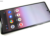 Nutzer des Google Pixel 6a klagen über massive Akku-Probleme nach dem jüngsten Update. (Bildquelle: Notebookcheck)