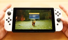 Der PeakDo Gaming-Handheld besitzt Schienen für Nintendo Joy-Con und kompatible Controller. (Bild: Taki Udon)