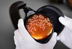 Die Audio Technica ATH-W2022 setzen auf ein handgefertigtes und bemaltes Gehäuse aus Holz. (Bild: Audio Technica)