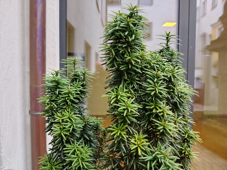 Moto G67 Power Kameratest