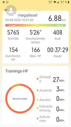 Laufprotokoll Realme Band