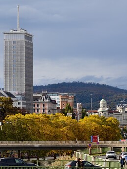 Vivo X200 Ultra 10x Zoom (ohne Teleconverter)