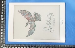 Das Onyx Boox Nova Air C ist eines von wenigen Android-Tablets mit farbigen E Ink-Displays. (Bild: FCC)