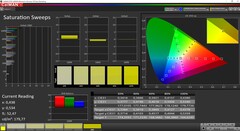 CalMAN Sättigung kalibriert (Zielfarbraum P3)