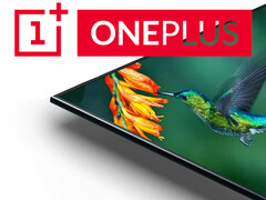 OnePlus TV: Fernbedienung für Smart-TV bei Bluetooth SIG gesichtet.