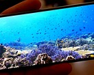 Bestes Handy-Display der Welt: Samsung Galaxy S10 Display stellt neue Rekorde auf.