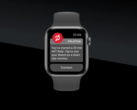 Peloton-Workouts können nun auch mit der Apple Watch getrackt werden, wie der Anbieter informiert. (Bild: Peloton)