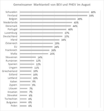 EY: Gemeinsamer Marktanteil von BEV und PHEV im August 2023
