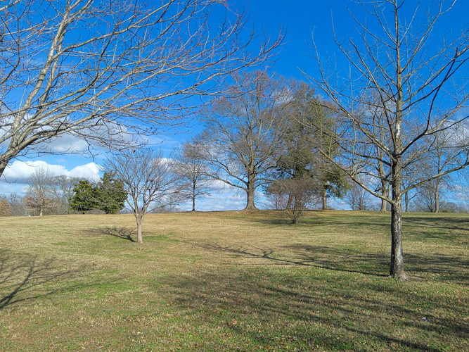 Auf den ersten Blick ein durchaus gut gelungenes Bild, im Detail (siehe unten) aber voller Artefakte.