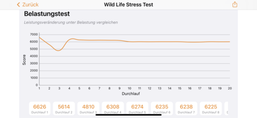 3DMark - Wild Life Stresstest