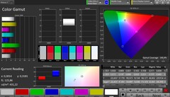 CalMAN Farbraum sRGB