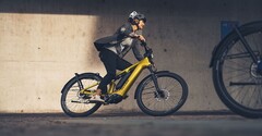 Das Flyer Goroc TR:X ist ein neues E-Bike für Gelände und Stadt. (Bild: Flyer)