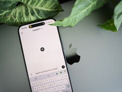 Smartphone mit geöffneter ChatGPT-App liegt auf einem Laptop, daneben Blätter einer Pflanze
