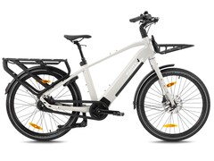 Monty V6: Longtail erscheint in mehreren Versionen