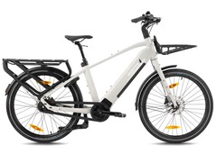 Monty V6: Longtail erscheint in mehreren Versionen