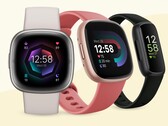 Google stellt Fitbit-Nutzern ohne Premium-Abonnement mehr Gesundheits-Daten zur Verfügung. (Bild: Fitbit)