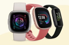 Google stellt Fitbit-Nutzern ohne Premium-Abonnement mehr Gesundheits-Daten zur Verfügung. (Bild: Fitbit)