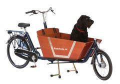 Cargobike Dog Day: Technik-Premiere für sicheren Hundetransport im Lastenrad (Bildquelle: Isibike)