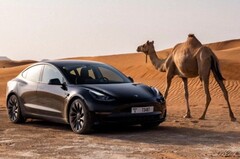 Neben dem beliebten Model Y wird natürlich auch das hier abgebildete Model 3 in der Wüsten-Hitze getestet (Bild: Tesla)