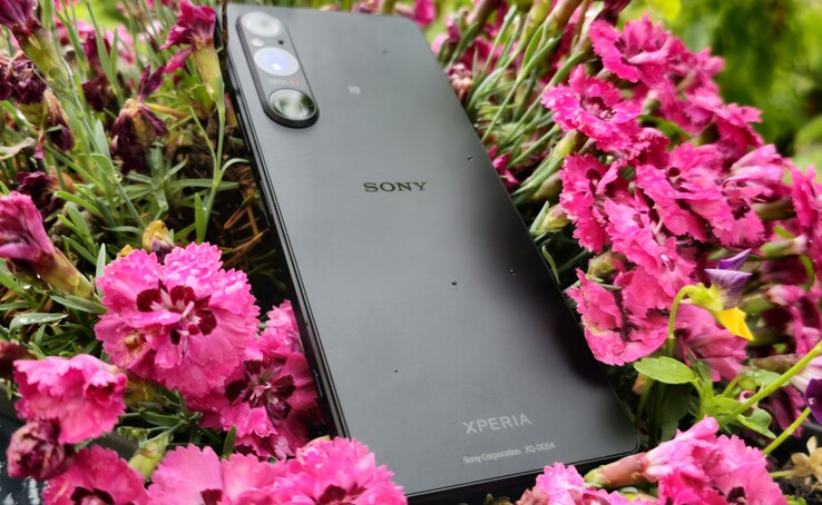 Handy Test Sony Xperia 1 V Smartphone