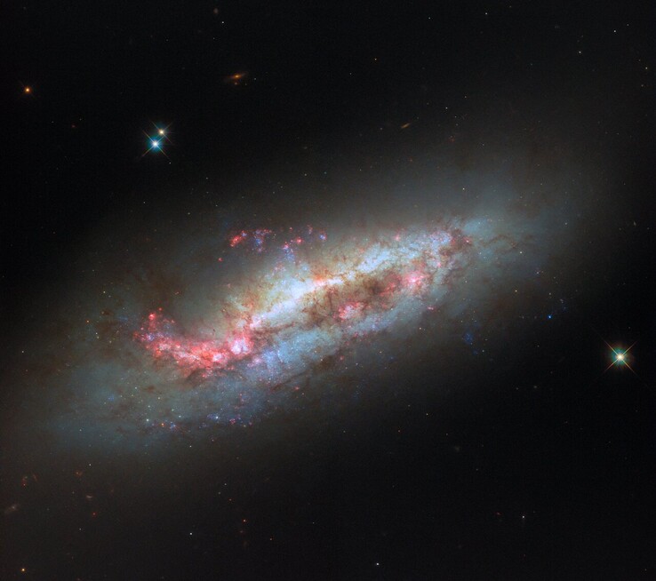 Hubble-Aufnahme von NGC 1151 (Bildquelle: ESA/Hubble, NASA, und D. Thilker)