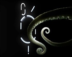 Das Nothing Phone (2) kann in wenigen Tagen vorbestellt werden. (Bild: Nothing)