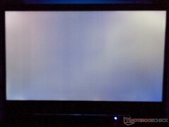 Acer Predator Triton 300 - Screenbleeding