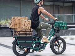 Das Fiido T2 kann große Lasten transportieren