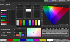 CalMAN Farbraum sRGB