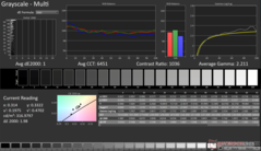 Graustufen nach der Kalibrierung