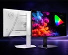 ASRock Phantom Gaming PGO27QSA Monitor in Schwarz und Weiß
