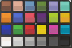 ColorChecker: In der unteren Hälfte eines jeden Feldes wird die Referenzfarbe dargestellt.