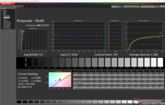 Graustufen nach der Kalibrierung