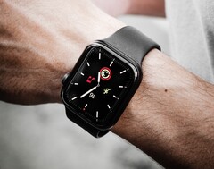 Die Apple Watch gewinnt von Jahr zu Jahr Millionen neuer Kunden. (Bild: Klim Musalimov)