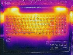 Witcher-3-Last (oben)