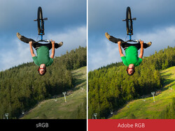 Vergleich der Farbsättigung zwischen sRGB und AdobeRGB. (Quelle: Viewsonic)